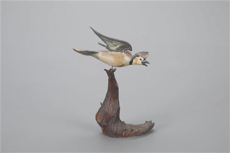 Miniature Flying Blue Jay