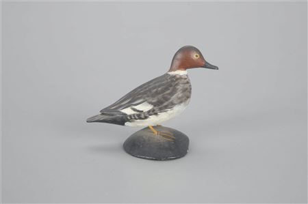 Miniature Goldeneye Hen