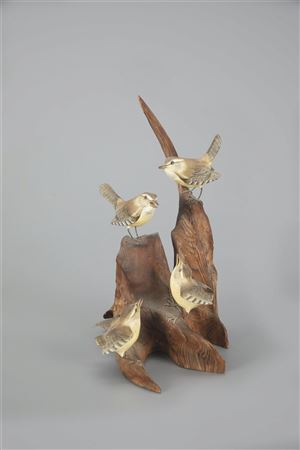 Carolina Wren Family