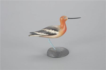 Miniature Avocet