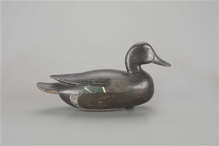 Important Biddle-Rig Green-Winged Teal Drake