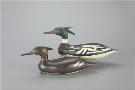 The Madara Merganser Pair