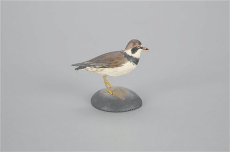 Miniature Semi-Palmated Plover