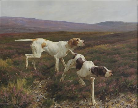 English Pointers