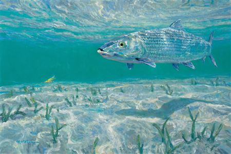 A Lone Single - Bonefish on a Fly