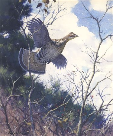 Grouse in Flight