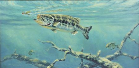 Bass Chasing Popper