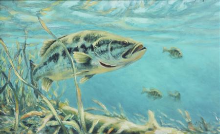 Bass