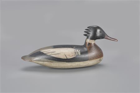 The Mackey-Muller Shourds Merganser