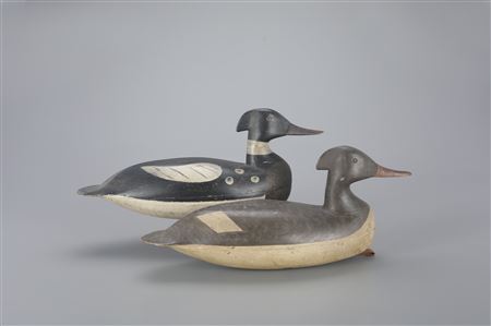 Red-Breasted Merganser Pair by Levi Rhodes Truex - Auction record, sale price, and art valuation. Compare with similar artists and explore comparable artworks.