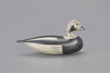 The Mackey-Muller Shourds Long-Tail