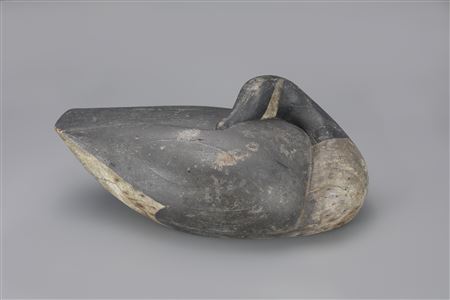 The Safford Sleeping Goose