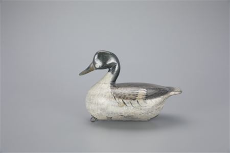 The Cheeseman Goldeneye Drake