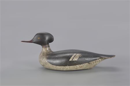 The McCleery Boyd Merganser Hen