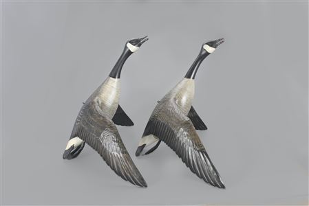 Flying Canada Goose Pair