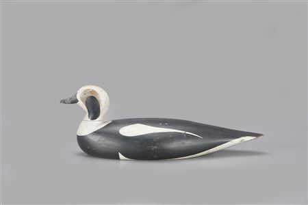 The Johnson Bibber Long-Tail