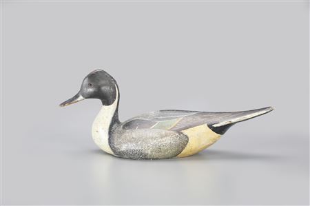 "White Mallard Club" Pinch-Breast Pintail
