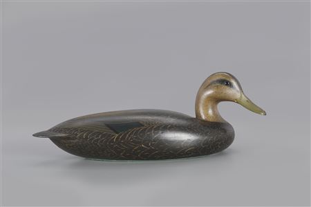 The Connett Wheeler Black Duck