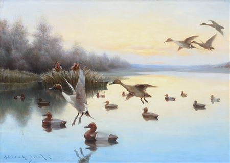Duck Blind (1912)