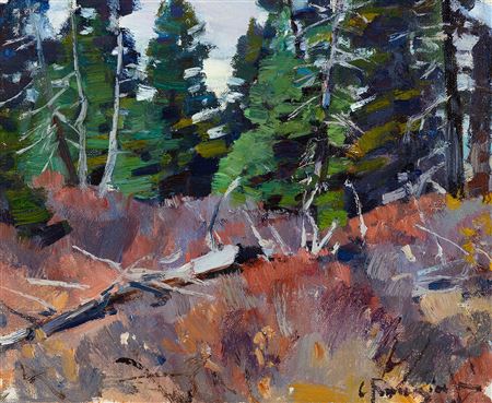 Forest Landscape
