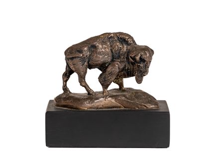 Bison
