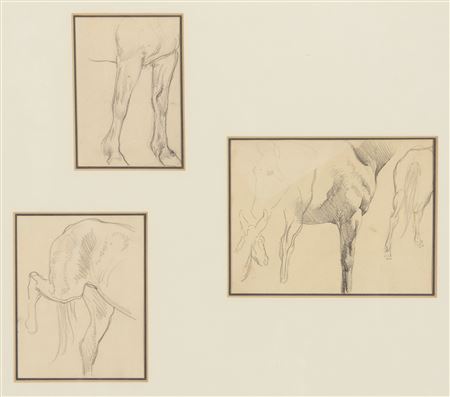 Horse Studies (3)