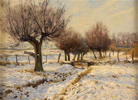 Pollarded willows in winter