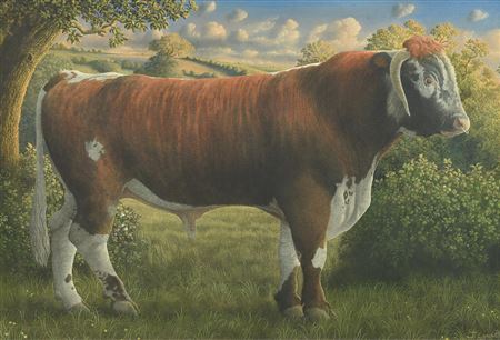 THOMAS, THE LONG-HORN BULL