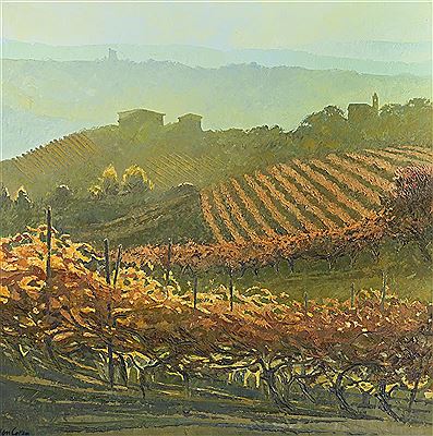 PIEMONTE - ROWS OF VINES AT MONTELUPO ALBESE