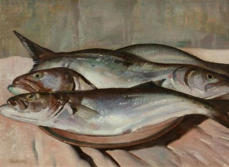 Tailor Fish