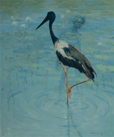 Jabiru