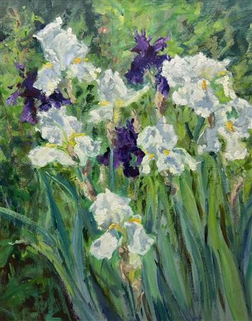 'Garden Irises'
