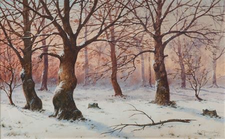Winter forest