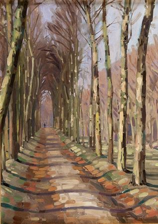 Alley among trees