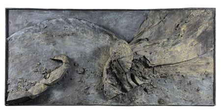LE HAUT DU MONDE, 2012