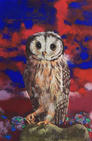 Wise Owl on a Rock