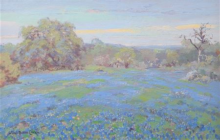 Bluebonnets