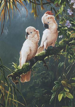 Cacatoes by Michael Jackson - Auction record, sale price, and art valuation. Compare with similar artists and explore comparable artworks.