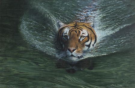 Making Waves