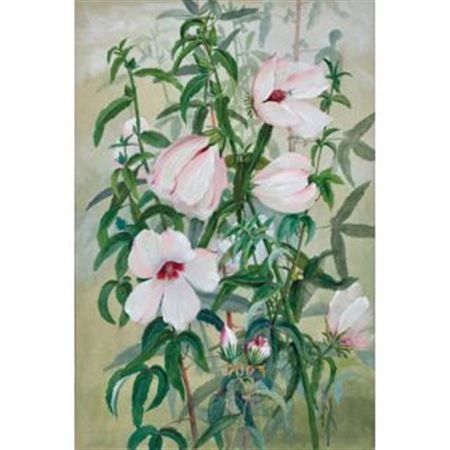 Hibiscus by Marian Ellis Rowan - Auction record, sale price, and art valuation. Compare with similar artists and explore comparable artworks.
