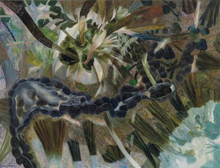 Rainforest with Botan Creek