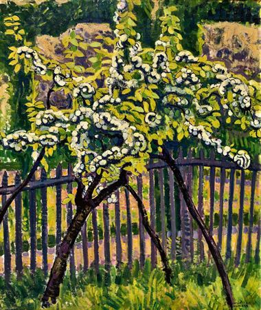 The little pear tree