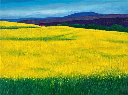 Rape field in bloom by Susy Kathy Thys - Auction record, sale price, and art valuation. Compare with similar artists and explore comparable artworks.