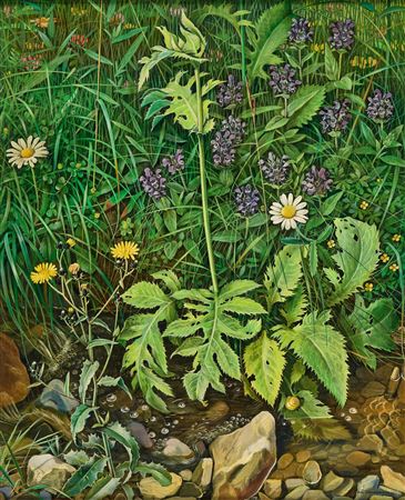 Meadow flowers at the brook