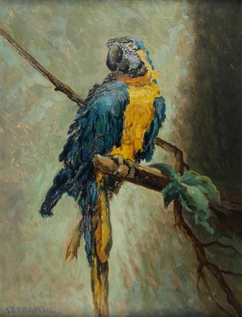 Parrot by Stefan Praschl - Auction record, sale price, and art valuation. Compare with similar artists and explore comparable artworks.