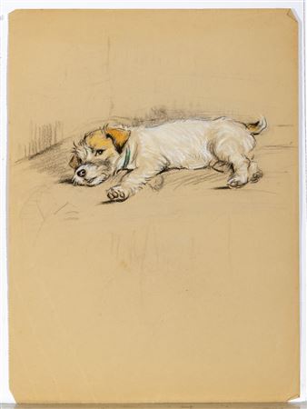 Sealyham Terriers: Five