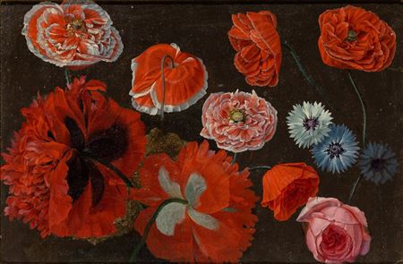 Red, Pink, and White Poppies, Cornflowers, and a Pink Rose