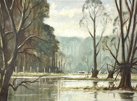 Flooded Fields