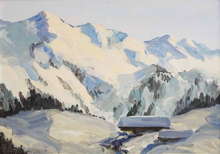 Verschneite Alm- und Gebirgslandschaft