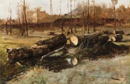 "Paisaje madrileño"